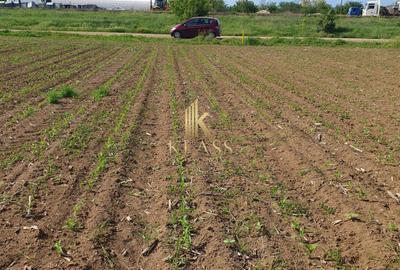 TEREN INTRAVILAN - MOARA VLASIEI - 1