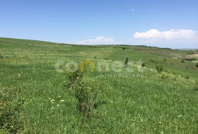 Vanzare teren pentru casa/duplex cu PUZ, la 6 min de Cluj-Napoca - 6