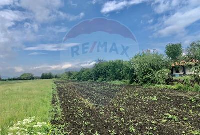 COMISION 0% | Teren intravilan 3250 mp | Stupini, str. Capra Neagra | - 4