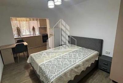 Garsoniera renovata, de inchiriat, Calea Aradului, Centrala proprie - 2