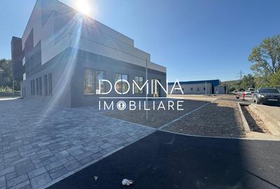 Închiriere spațiu comercial *peste 350 mp cu parcare* - strada Tineretului - 9