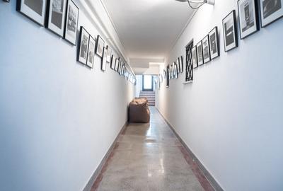 Historical villa Gradina Icoanei area - 21