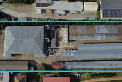 SPATIU INDUSTRIAL cu 3 hale si depozite acoperite - 3