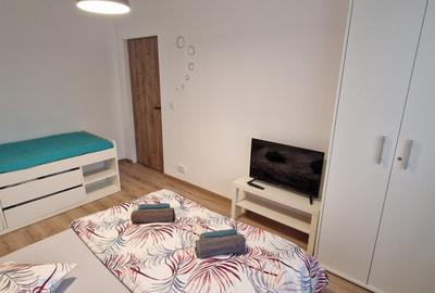 Apartament 1 camera regim hotelier Provista - Narcisei