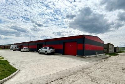 De închiriat hală 300 mp Lețcani, Iași – vis-à-vis de Sandra Auto | Acces TIR - 9