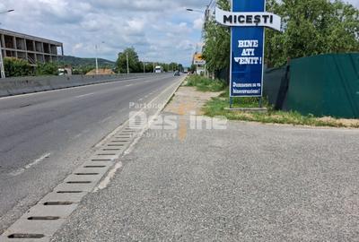 Teren Extravilan de Vânzare – Mărăcineni, Sat Argeșelu - 1
