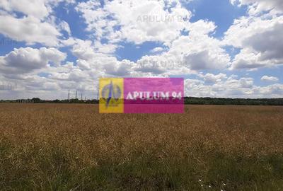 Teren 715mp în Snagov lângă Equestria - 37