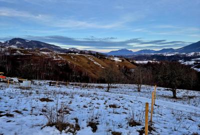 Sat Peștera – Moeciu | Vedere panoramică Bucegi & Piatra Craiului - 7