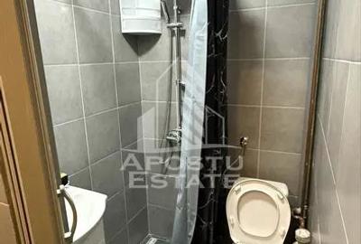 Garsoniera de inchiriat, Timisoara, zona Buziasului-AEM - 8