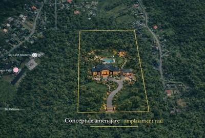 Teren intravilan de 10000 mp, în Bucium