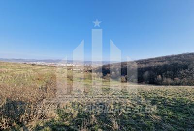 Teren intravilan | De vanzare | 1808 mp | 18 ml deschidere | Seigau - 4