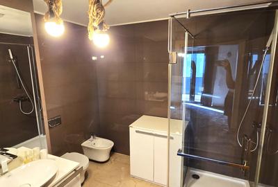De inchiriat - Apartament cochet Vatra Luminoasa - 10