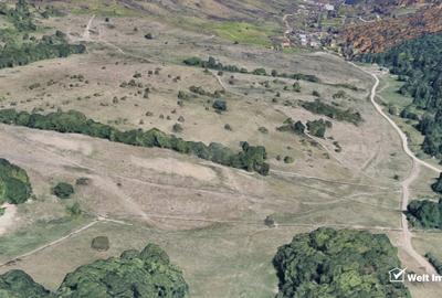 Floresti limita Cluj Napoca, teren Intravilan UL1, Valea Garboului, 7200mp - 1