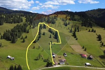 Teren de 14318m.p. în Paltinis, la 100m de strada Principala - 1