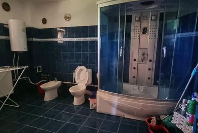 Casă rezidențială cu mansardă și garaj, teren 5000mp, Cateasca, Arges - 8