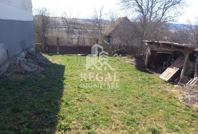 Două case de vânzare – Cerisor – teren generos 6996 mp - 9