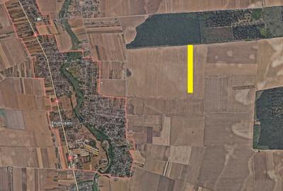 Teren agricol extravilan de 7063 mp, în Frumușani