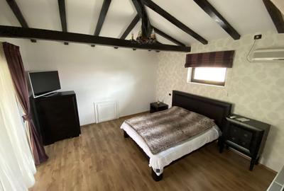 Vila superba - 7 camere - vanzare - Iancu Nicolae - Padurea Baneasa - 18