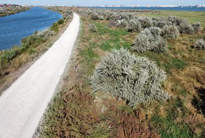 Teren de vanzare primul rand la lacul Siutghiol  Mamaia Sat - 1