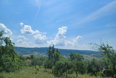 24.141 mp 1h30' de Bucuresti -  ideal casa sau complex retreat - 6