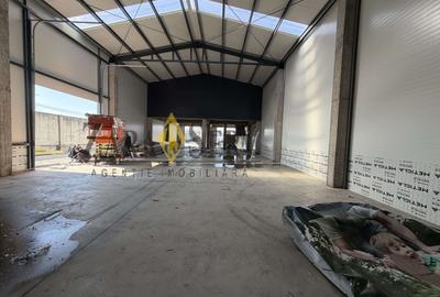 Închiriere hală nouă – 700 mp | Parc Industrial | Acces TIR - 6