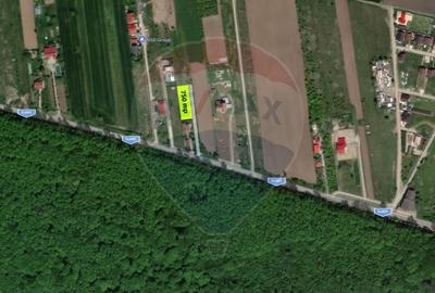 Teren intravilan, langa padure, 752 mp, Bolintin-Deal - 1