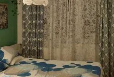 Apartament 2 Camere,Tineretului Parc,DECOMANDAT,Amenajat,parcare,mobilat - 5