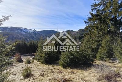 Teren de vânzare în zona montană a județului Alba - 10
