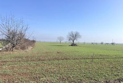 Teren Construcții intravilan de 3000 mp, în Est