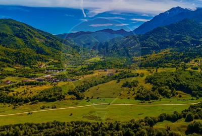 Teren Rasnov, Valea Panicelului 4253mp, izvor pe teren - 4