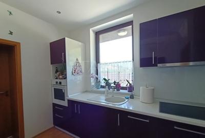 Locuință modernă într-o zonă verde, zona Faget - 6