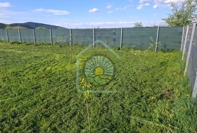 TEREN CONSTRUCTII SANPETRU BRASOV - 6