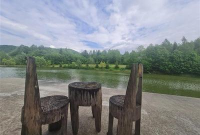 FILM! Oaza paradisiaca cu lac, vedere catre Bucegi, Glajerie/ Rasnov, pretabil C - 6