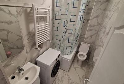 Apartament 1 camera Lunca Cetatuii - 5