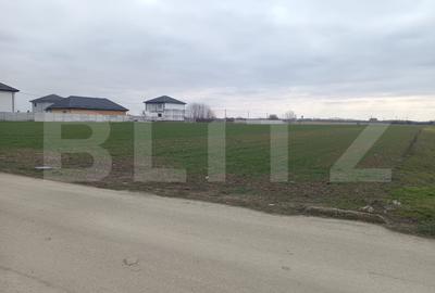 Teren 7.200 mp cu toate utilitatile la front asfaltat, Man. Jitianu, Braniste - 1