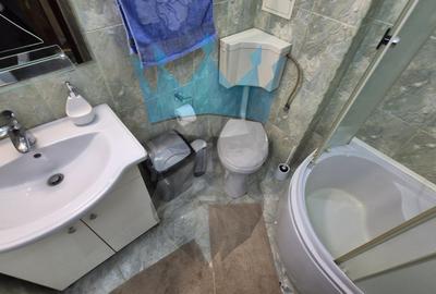 Apartament 3 Camere Crangasi Bucuresti - 19
