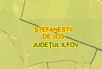 Teren Construcții intravilan de 38500 mp, în Ștefăneștii de Jos