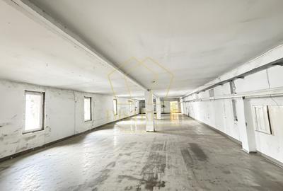 Hală industrială pentru producție ușoară | Covaci - 1