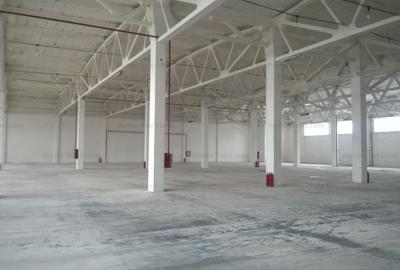 MILITARI - BDUL TIMISOARA-VALEA CASCADELOR - 2