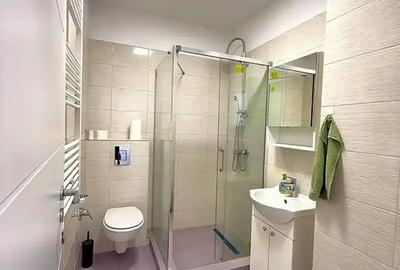 Investitie 2 Camere Chirias Stabil Metrou Nicolae Teclu 8 minute - 18