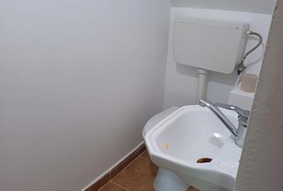 Vânzare casă în comuna Chinteni loc. Vechea - 7