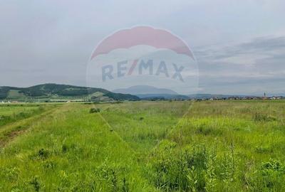 Comision 0% | 4 Parcele 538mp | Harman, Strada MIHAIL SADOVEANU - 1