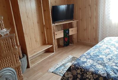 Vilă unică la liziera pădurii-stațiunea Soveja - 5