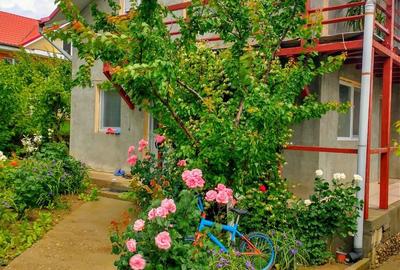 Vanzare casa P+M, Smardan( Galati ), la 2 minute de str.principala - 1