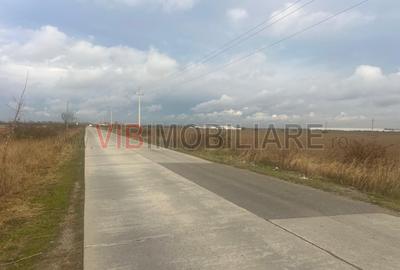 Teren de vanzare - 22800mp  - Parc Industrial km 23 - 9