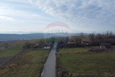 Teren 19.375 mp Dâmbu Rotund. Potențial rezidențial. Extravilan - 3