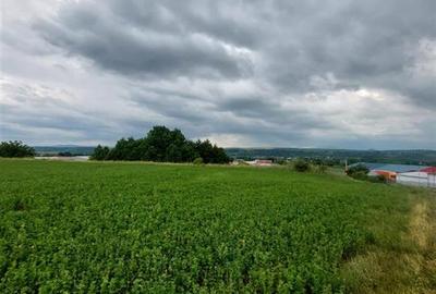 Teren intravilan de vanzare in Tg Trotus - 4