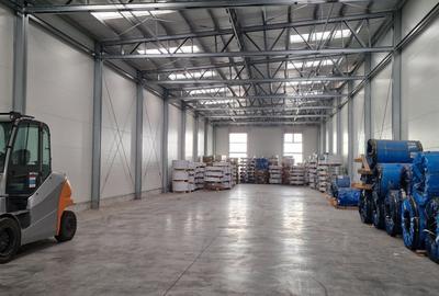 Hală industrială de închiriat – Parc Industrial Aeroport Oradea - 2