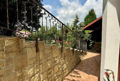 Casa individuala cu 5 camere si teren de 1 hectar - Ghioroc - Arad - 19