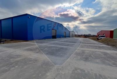 Spatiu industrial 600 mp inchiriere in Hală, Depozit Afumati Doraly - 5
